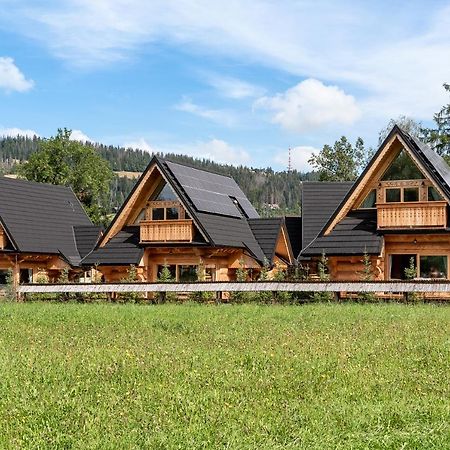 Sniezna Dolina - Sobiczkowa Bor Luxury Chalets Koscielisko Exterior photo