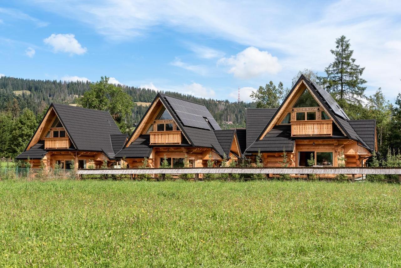 Sniezna Dolina - Sobiczkowa Bor Luxury Chalets Koscielisko Exterior photo